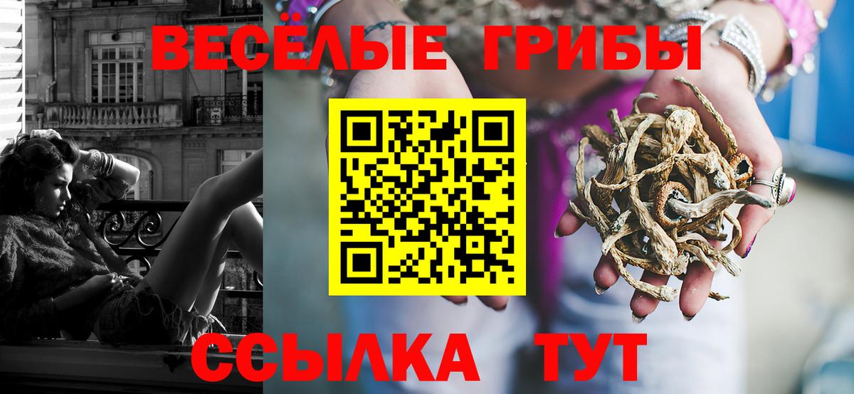 Дзержинск  Псилоцибиновые грибы GOLDEN TEACHER  Псилоцибиновые грибы ЛСД  Вход с VPN 